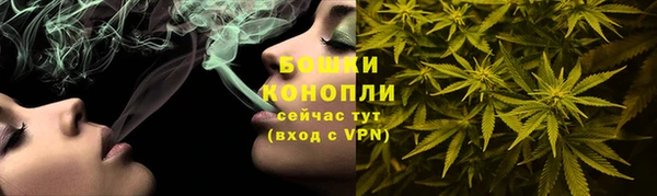 дурь Алексеевка