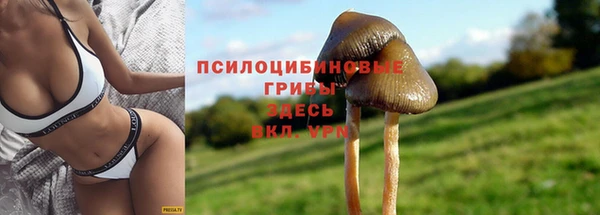ГАЛЛЮЦИНОГЕННЫЕ ГРИБЫ Абинск