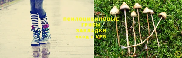 дурь Алексеевка