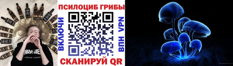 цена   Новоаннинский  Псилоцибиновые грибы Magic Shrooms 